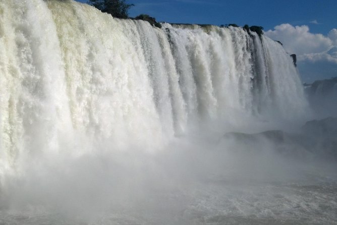 Brazilian Falls Bird Park and Itaipu Dam from Puerto Iguazu - Stop 2: Parque das Aves Bird Park, close-up color and species you will actually remember