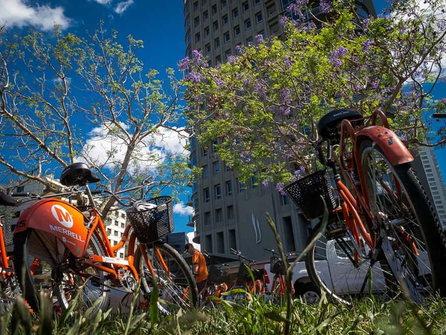Buenos Aires Bike Tour: South or North Circuit - South Circuit: San Telmo tango, La Boca color, Puerto Madero views, Eco Reserve breathing room, Plaza de Mayo power