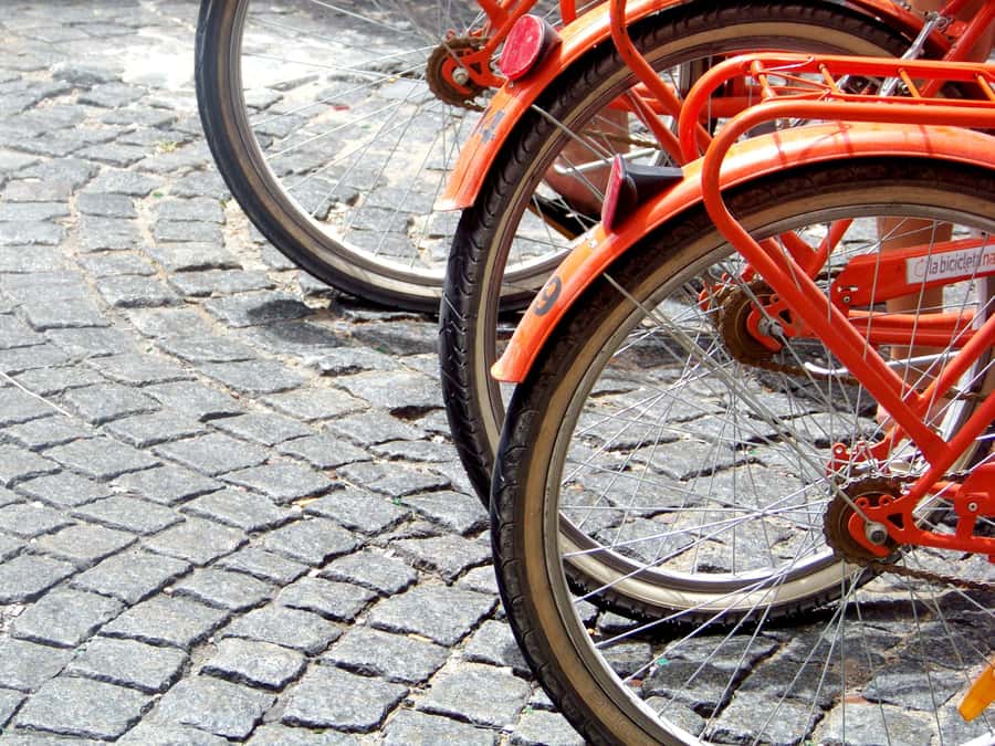 Buenos Aires Bike Tour: South or North Circuit - Who should consider skipping or preparing extra