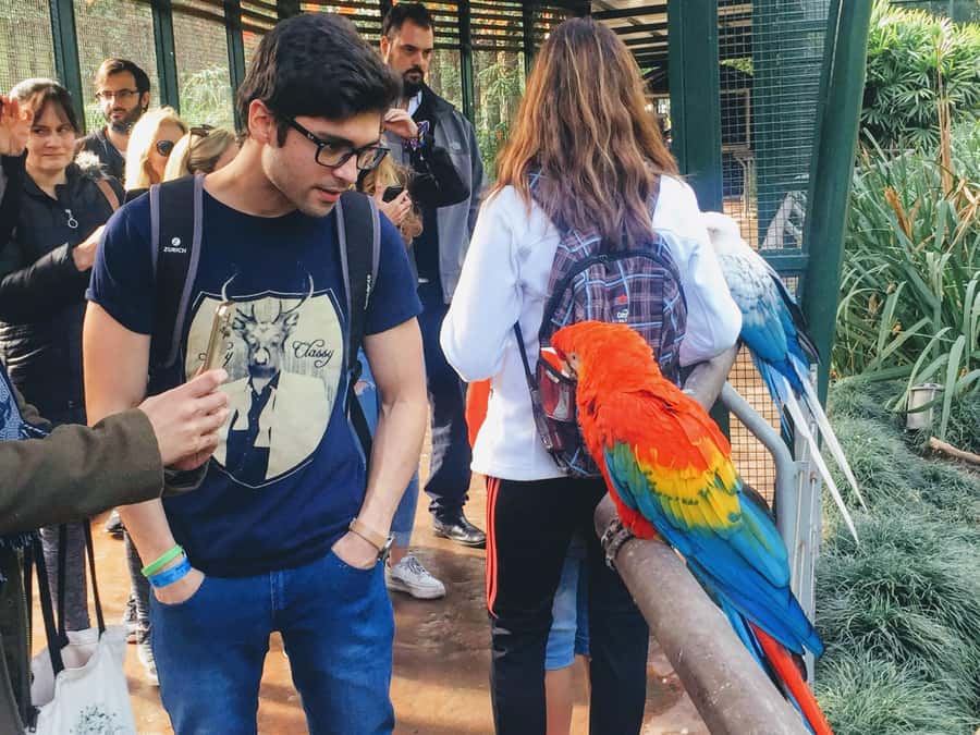 Buenos Aires: Bioparque Temaiken with Transfers - Key Highlights You’ll Actually Care About