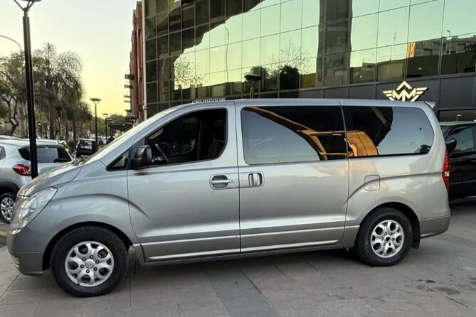 Buenos Aires City Private Van Tour with Local Guide - San Telmo streets and the Boca Juniors stadium vibe