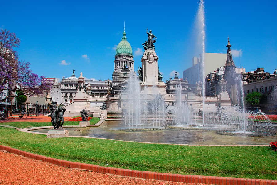 Buenos Aires City Tour with Luxury Lunch - The traditional Argentine lunch: the practical reason this tour feels worth it