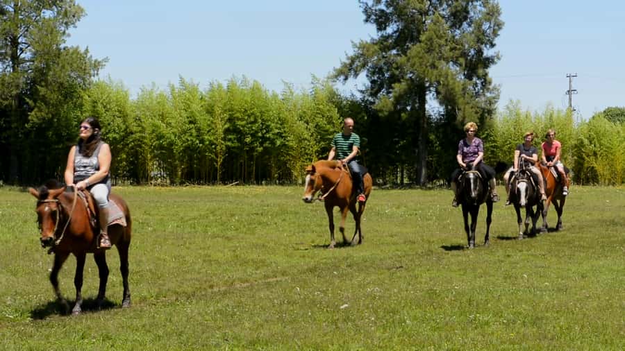 Buenos Aires: Don Silvano Ranch Gaucho Day Trip - Key Highlights You Should Know Before You Go