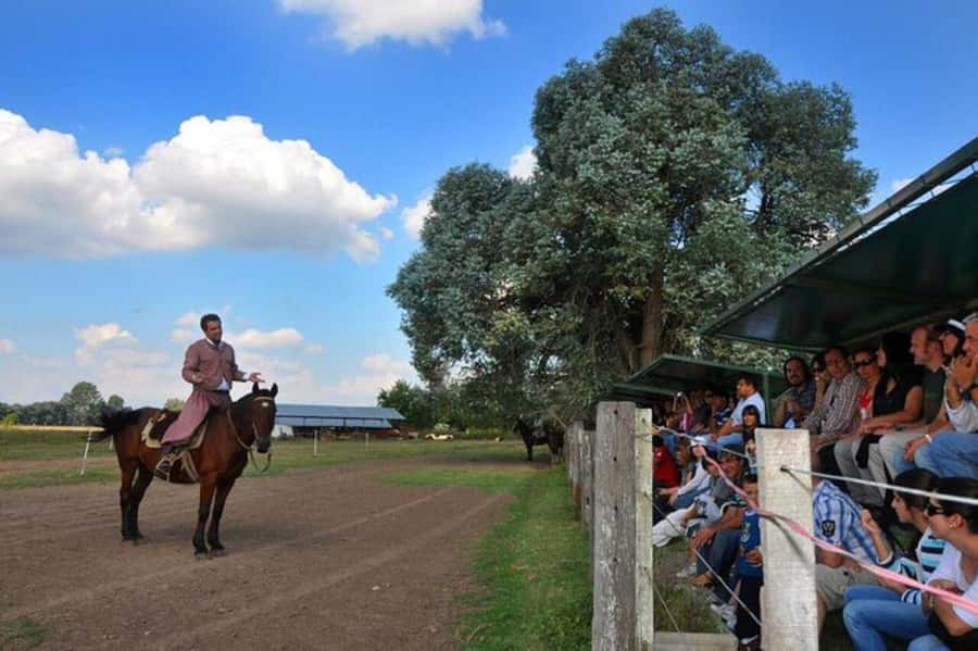Buenos Aires: Don Silvano Ranch Gaucho Day Trip - Why Estancia Don Silvano Feels Like Argentina, Not Just a Ticket
