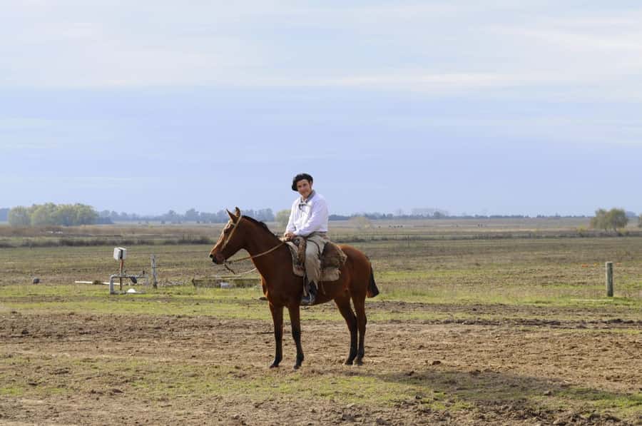 Buenos Aires: Don Silvano Ranch Gaucho Day Trip - Music and Dance Show, Plus You Participating