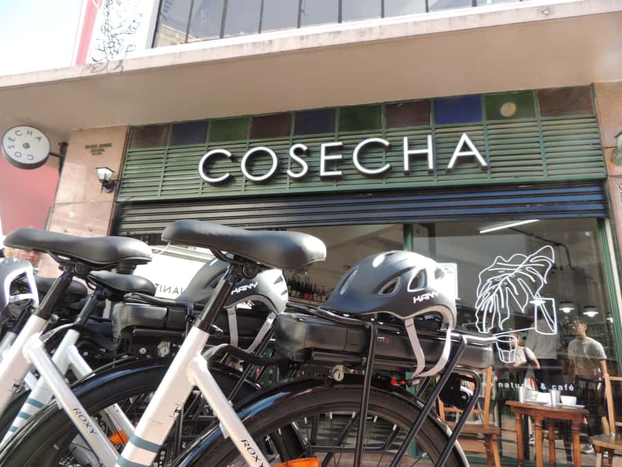 Buenos Aires: E-Bike Tour in the South Circuit of Buenos Aires - Usina del Arte and the Way Back to Water