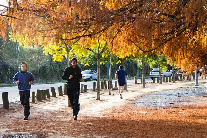 Buenos Aires Full Day Deluxe Private City Tour - A full-day plan that helps you see Buenos Aires without guessing