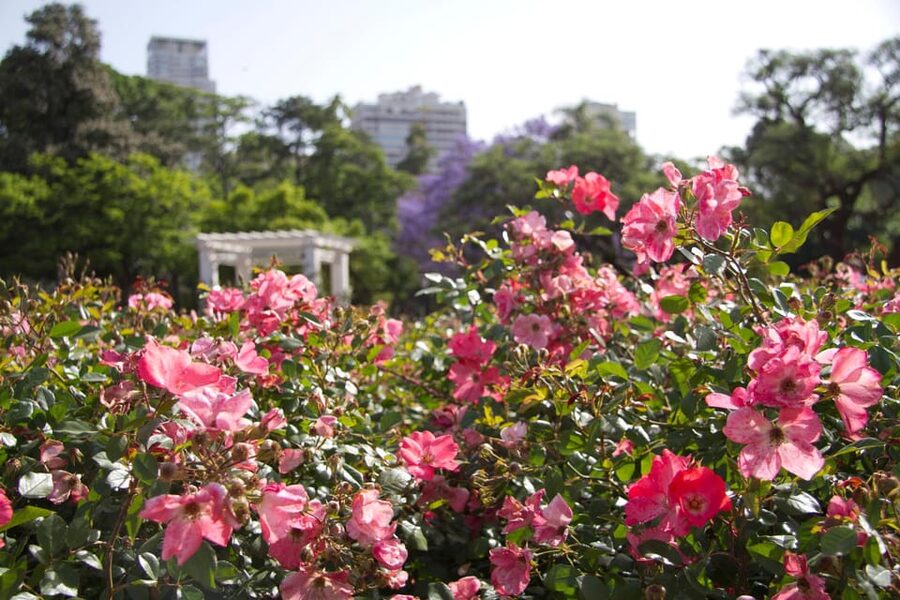 Buenos Aires Private City Tour with a local guide - Price and value: what $149 per vehicle gets you, and what costs extra