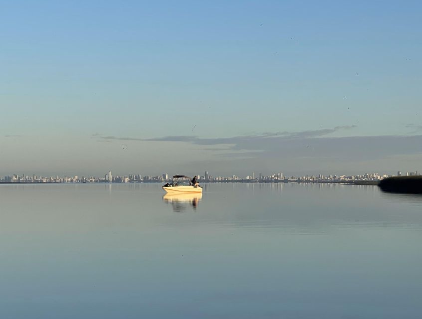 Buenos Aires: Private Delta Boat Tour with Barbecue onboard - Pickup and transportation: one car is included, then it gets real