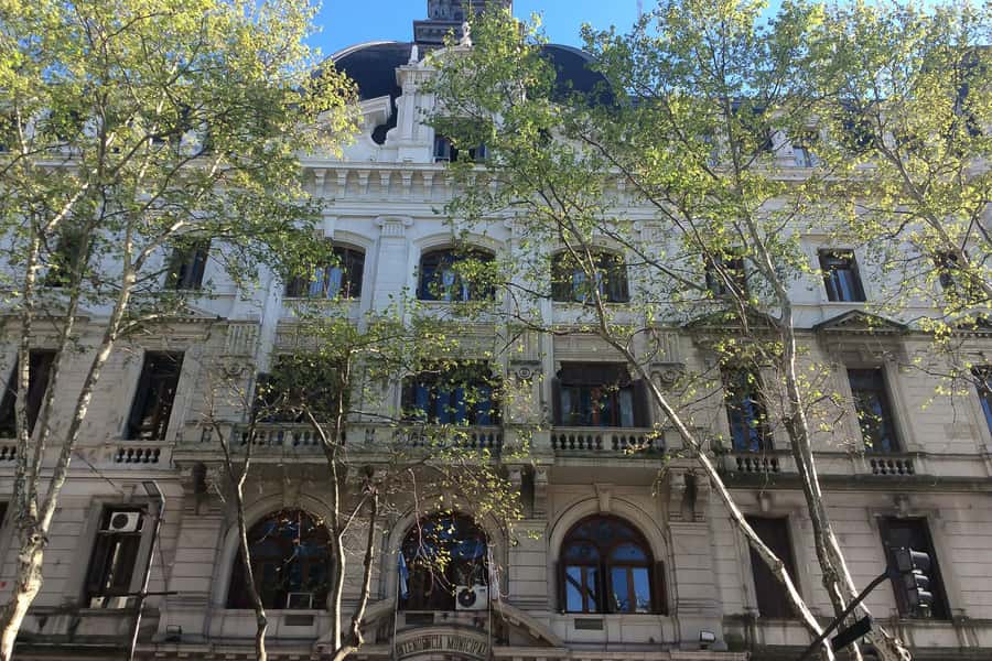 Buenos Aires Private Half-Day City Tour - What to expect on the ground, pace, and small comfort tips