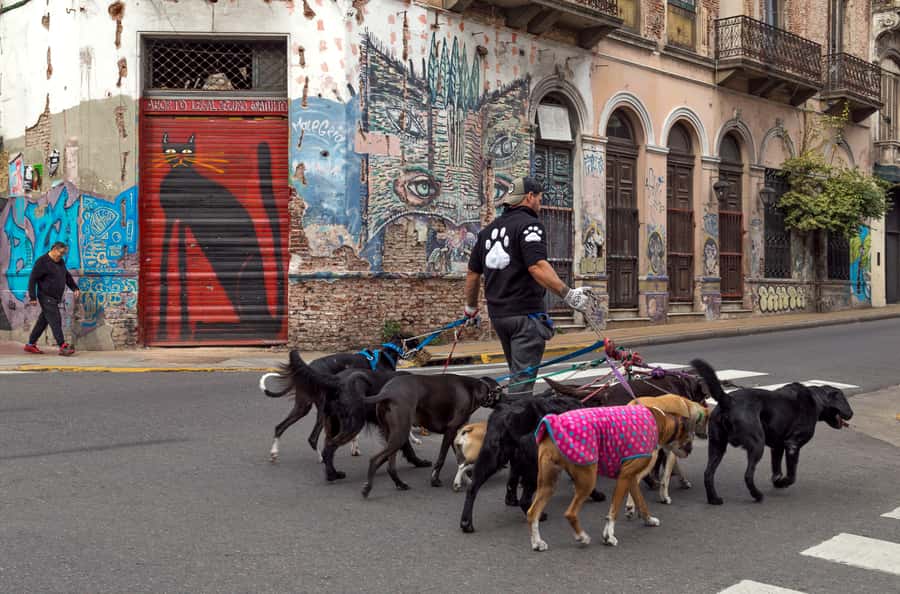 Buenos Aires: Private Photo Tour for Ammateur Photographers - Gear checklist so you get good results on cobblestones and indoors