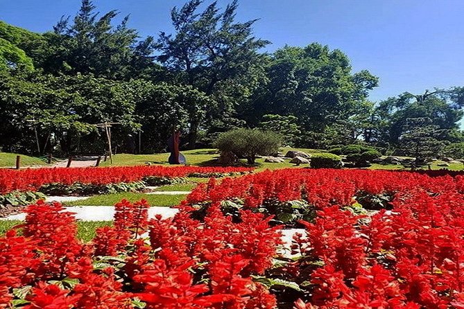 Buenos Aires Private Tour Discovering Palermo, The Japanese & Botanical Gardens - Jardin Japones: plants, fish, and Japanese garden meaning