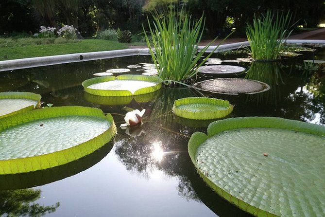 Buenos Aires Private Tour Discovering Palermo, The Japanese & Botanical Gardens - The guide and driver team: why that matters more than you think