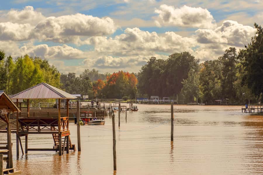 Buenos Aires: Puerto Madero to Tigre Round Trip Cruise - Lunch and wandering: how to use your 4 hours in Tigre well