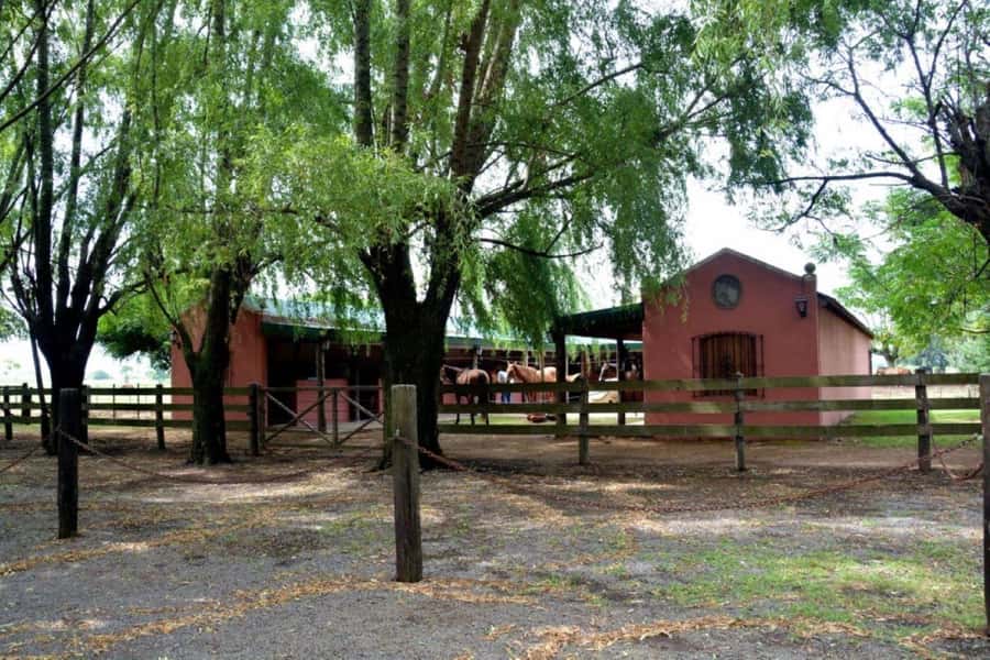 Buenos Aires: Santa Susana Ranch Day Tour, BBQ & Shows - Getting to the Ranch: Transfers Matter More Than You Think