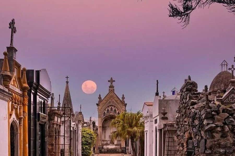 Buenos Aires: Small Group City Highlights Tour - La Boca and Caminito: the colors are real, but manage your time