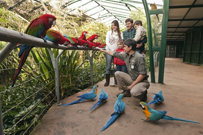 Buenos Aires: Temaiken Biopark including Transfers - Key Highlights You’ll Actually Care About
