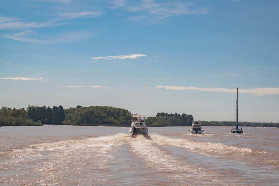 Buenos Aires: "Ticket"- 2hs of Navigation Premium to Tigre - Puerto Madero departure: where the city looks different from the water