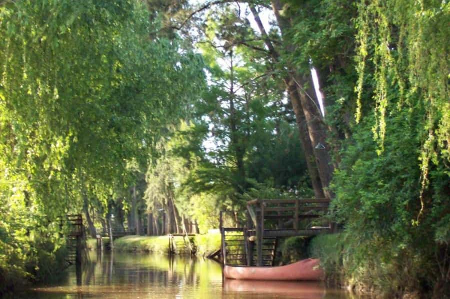 Buenos Aires: Ticket - Classic Delta of Tigre Boat Tour - A Smooth Boat Setup: Where You’ll Sit and How Comfortable It Is