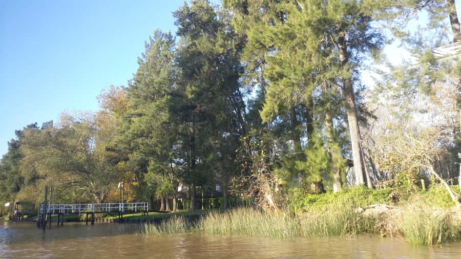 Buenos Aires: Ticket - Classic Delta of Tigre Boat Tour - Island Life on Display: Homes, Schools, Churches, and Recreation