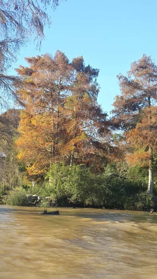 Buenos Aires: Ticket - Classic Delta of Tigre Boat Tour - Timing That Fits Real Days: Daily Departures and How to Pick a Time