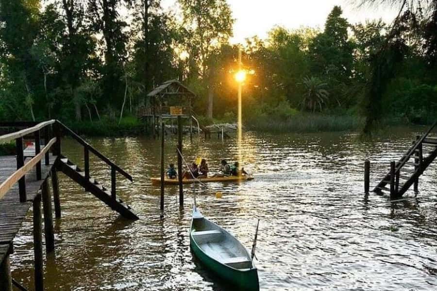 Buenos Aires: Tigre Delta Half-Day Tour with Navigation - Key things to know before you go