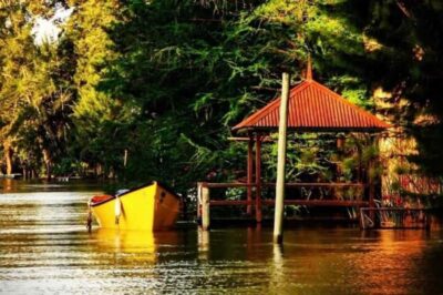 Tigre Delta Half-Day Tour with Navigation