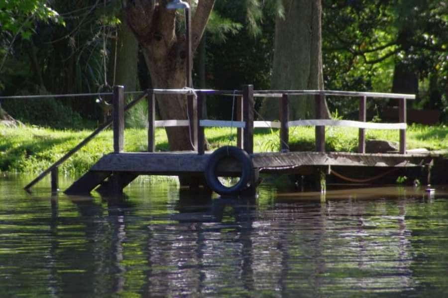 Buenos Aires: Tigre Delta Premium Boat Tour - Price and logistics: is $133 worth it for a 5-hour tour?