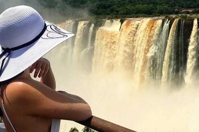 Buenos Aires to Iguazu Falls: Private Day Trip, Flights Included - Price and Value: When This Feels Like a Deal