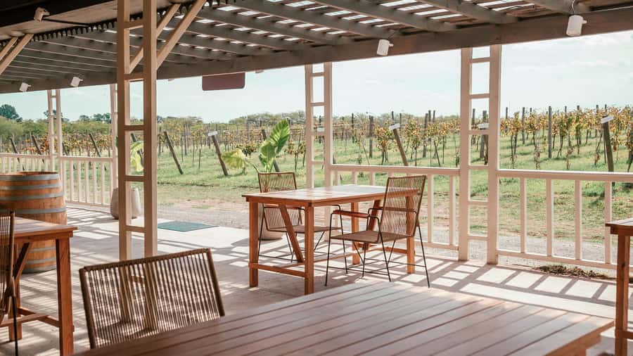 Buenos Aires: Wine Tasting and Lunch at Bodega Gamboa - Key things I’d circle before you go