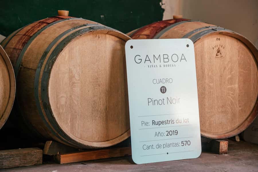 Buenos Aires: Wine Tasting and Lunch at Bodega Gamboa - Value and the $169 price: what you actually get, and when it is worth it