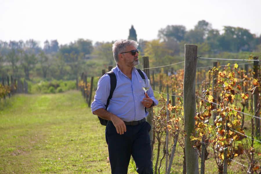 Buenos Aires: Wine Tasting and Lunch at Bodega Gamboa - Logistics details that can make or break a smooth day