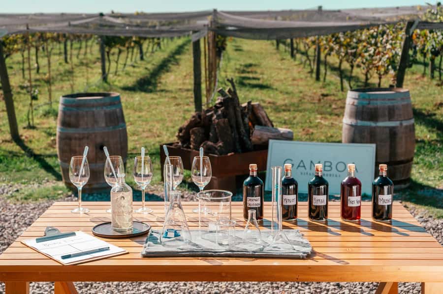 Buenos Aires: Wine Tasting & Lunch at Gamboa Vineyard - Key highlights you will care about