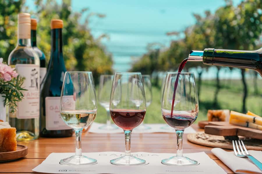 Buenos Aires: Wine Tasting & Lunch at Gamboa Vineyard - A short ride to Bodega Gamboa that feels like a real reset