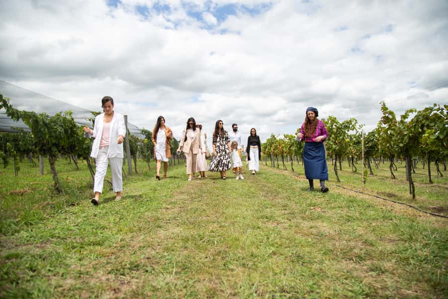 Buenos Aires: Wine Tasting & Lunch at Gamboa Vineyard - Price and value: what $220 is buying you