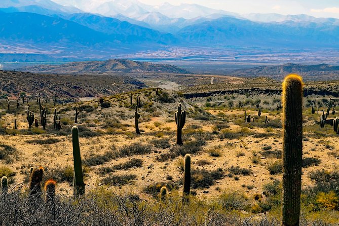 Cachi and Los Cardones National Park from Salta - Morning start: Salta pickup and Valle de Lerma stop
