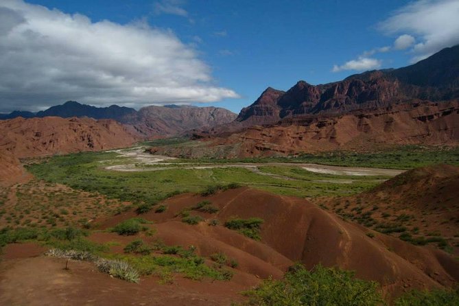 Cafayate: 2-Day-Trip from Salta City - Cafayate wineries and the Torrontes focus, what the tasting is really for