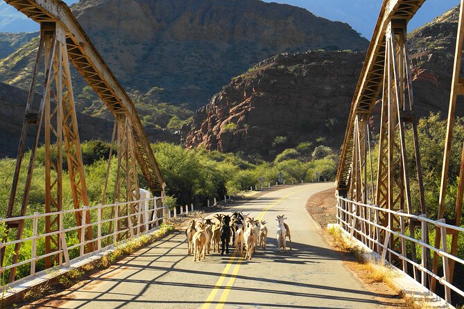 Cafayate, Vineyards and Calchaquies Valleys Tour from Salta - Quick hits before you go