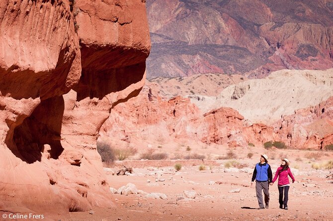 Cafayate, Vineyards and Calchaquies Valleys Tour from Salta - Mercado Artesanal Cafayate and free time in town