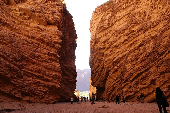 Cafayate, Vineyards and Calchaquies Valleys Tour from Salta - Valle de Lerma stop: the lead-in to the region