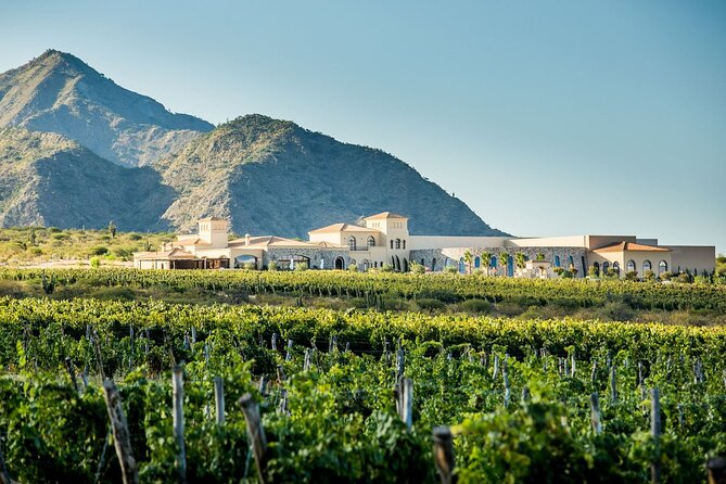 Cafayate Wine Trail Excursion: Explore Salta's Vineyards - Key Highlights You Can Actually Use