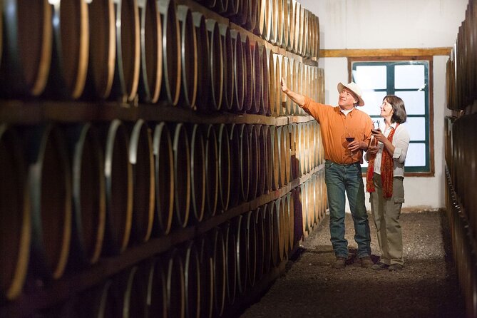 Cafayate Wine Trail Excursion: Explore Salta's Vineyards - Price and value for $97: what you’re paying for