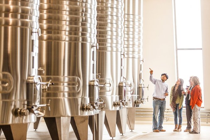 Cafayate Wine Trail Excursion: Explore Salta's Vineyards - Who should book this Cafayate Wine Trail excursion?