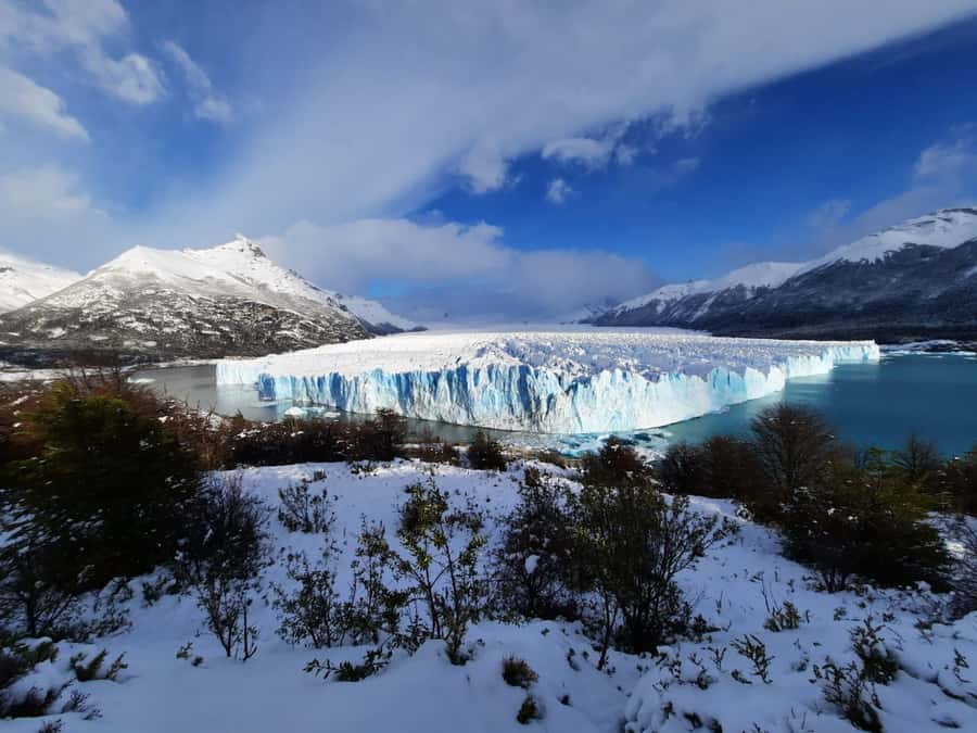 Calafate: Perito Moreno Glacier Guided Full-Day Tour - Wildlife and Bird-Spotting on the Drive