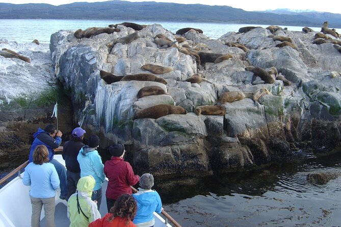 Catamaran Tour through the Beagle Channel in Ushuaia - The 3-hour flow: what you’ll actually do on the water