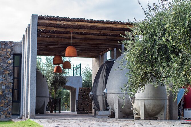 Catena Zapata Winery, Lunch and Private Transportation - The logistics that keep the day stress-free (and what to watch)