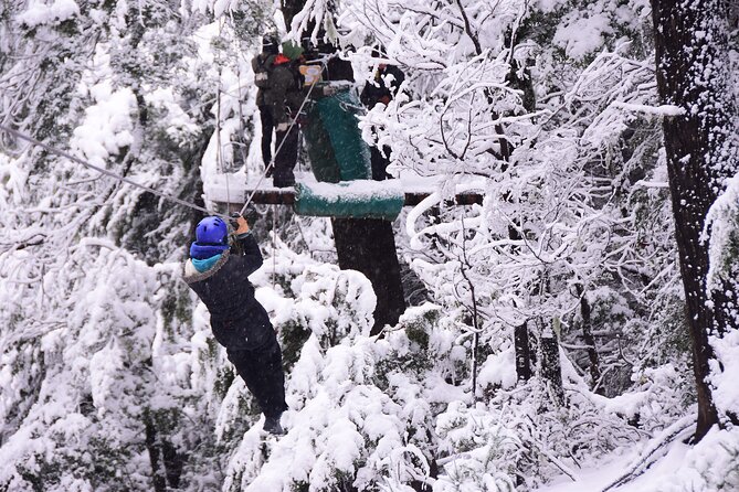 Cerro Lopez Zipline Adventure from Bariloche - Cerro López Descent: What Each Run Feels Like