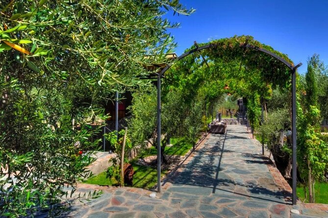 Chandon Winery + Enemigo Lunch (Michelin Guide). Transfer included - Price and value check: is $310 per person fair?