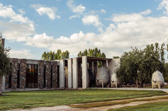 Chandon Winery + Enemigo Lunch (Michelin Guide). Transfer included - Who this tour suits best
