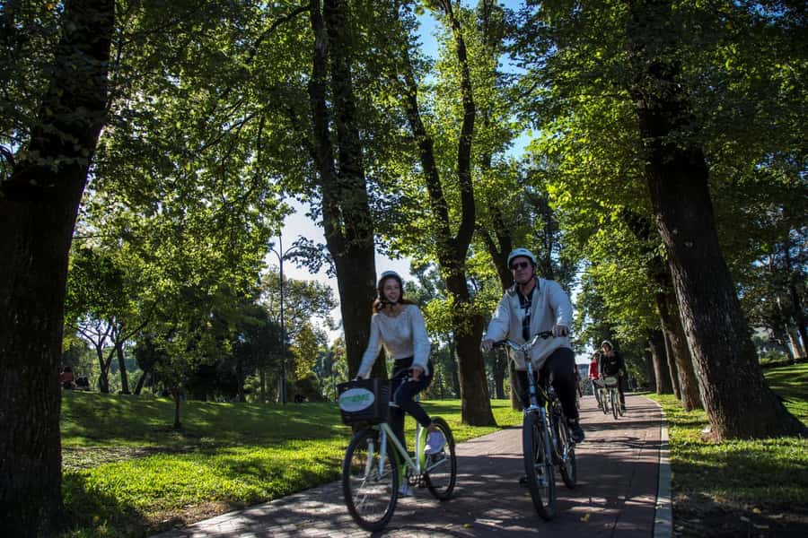 City Bike Tour in Palermo and Recoleta - Avenida del Libertador: the promenade idea you can feel while riding